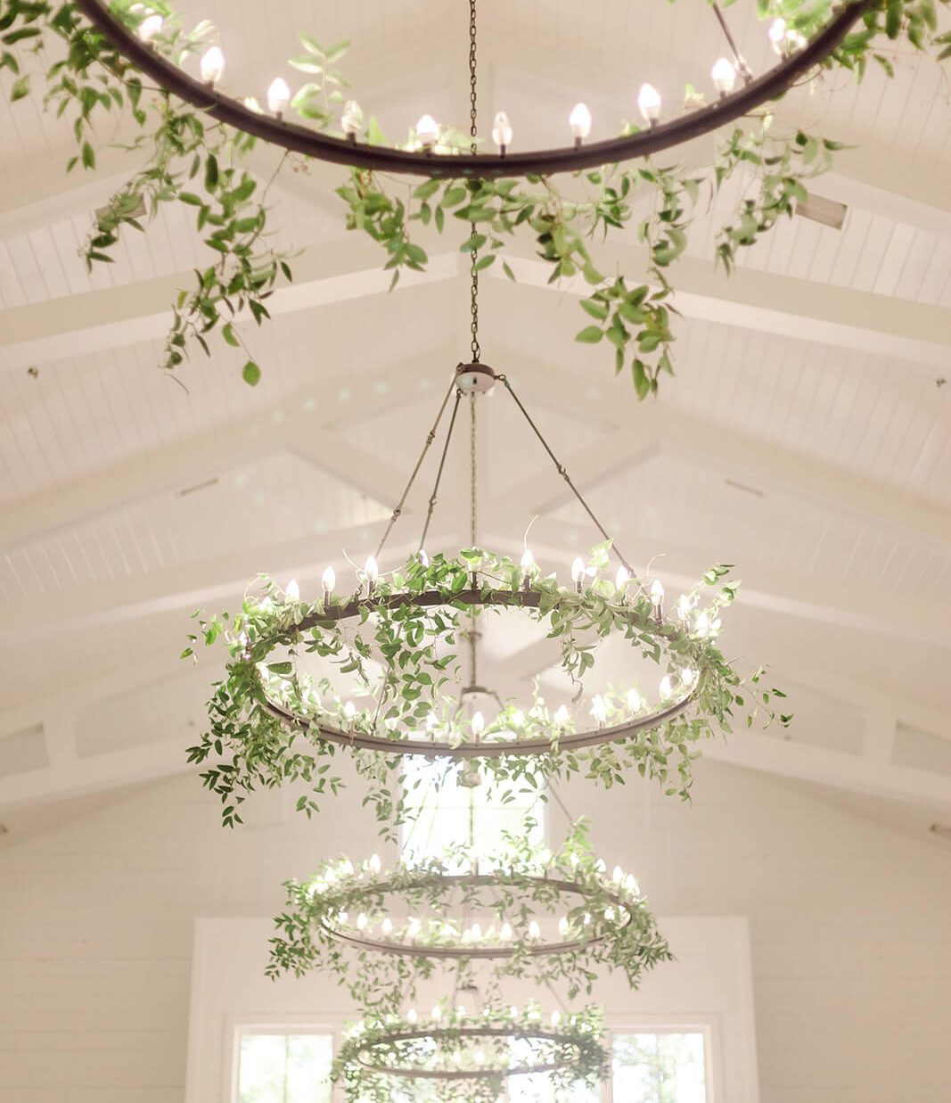 A parade of round chandeliers with small lights and leaves around them.